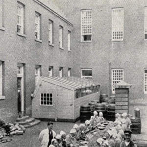 Inmates employed at canning in the Amsterdam Workhouse