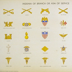 Insignia of branch or arm of service