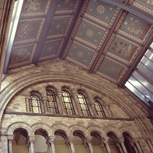 Interior view of the Natural History Museum, London