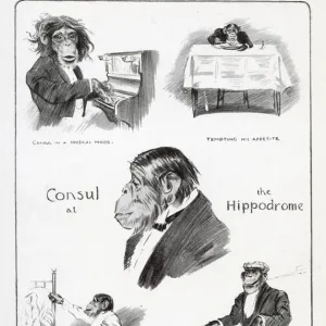 An Interview with Consul the Chimpanzee