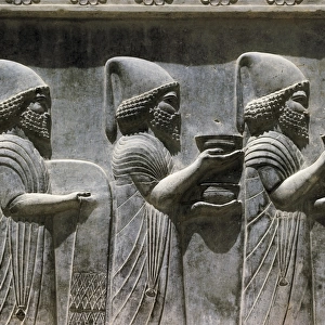 IRAN. Persepolis. Palace of Darius. Cort觥of