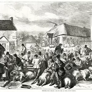 Ireland pig fair at Trim, County Meath 1870