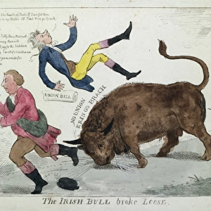 The Irish bull broke loose