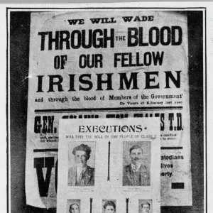 Irish Elections 1923