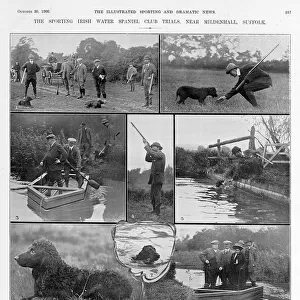The Irish water spaniel club trials, 1909