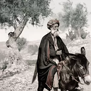 Israel Palestine - Arab merchant on a donkey
