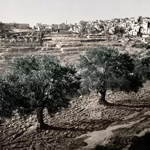 Israel Palestine photochrome - town of Bethlehem