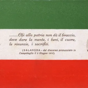 Italian Prime Minister Salandra - Quote on entry into WW1