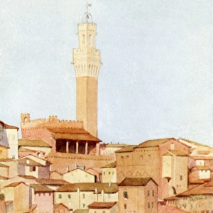 Italy / Siena Mangia Tower