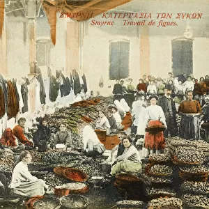 Izmir (Smyrna), Turkey - Large fig factory