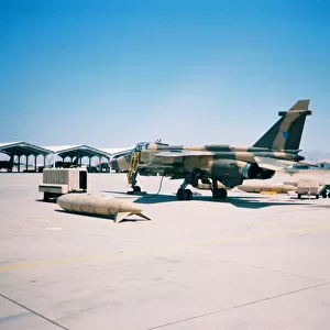 Jaguar at Seeb North - Oman