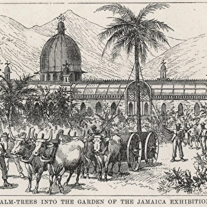 The Jamaica Exhibition