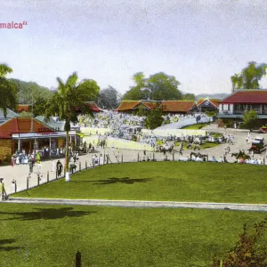 Jamaica - West Indies - Mandeville - Market Day