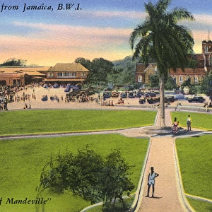 Jamaica, West Indies - The Town of Mandeville