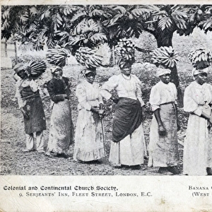 Jamaican Banana Carriers