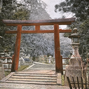 Japan Scenery / Temple