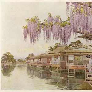 JAPAN / YAMATA / MIZU 1912