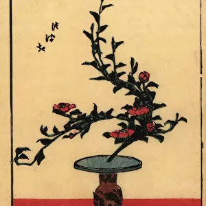 Japanese flower arrangement with camellia, tsubaki