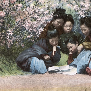 Five Japanese girls reading a Fairy Tale amid the blossom