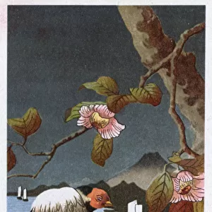Japanese woodcut-style image - nature theme