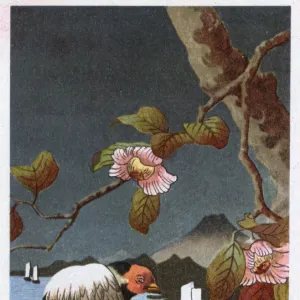 Japanese woodcut-style image - nature theme