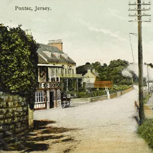 Jersey - Pontac