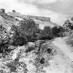 Jerusalem, Kidron Valley and Siloam