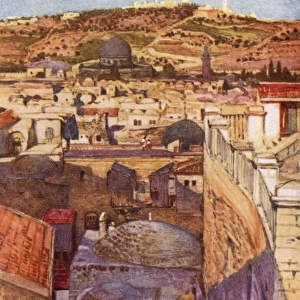 Jerusalem / Mount Olives
