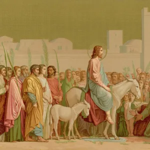 Jesus on a Donkey (Col)