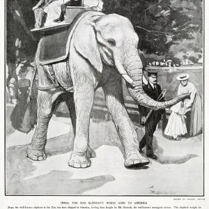 Jingo the Zoo Elephant Goes to America 1903