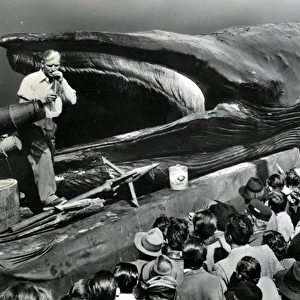 Jonah the Giant Whale, Wolverhampton, Staffordshire