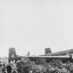 Junkers Ju-290