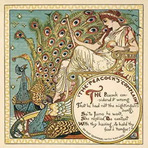 Juno and the Peacock