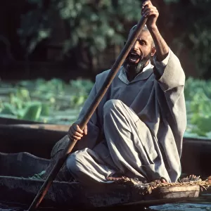 Kashmir - boatman paddling his flat-bottomed shikara boat