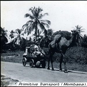 Kenya - Camel-drawn Transport, Mombasa
