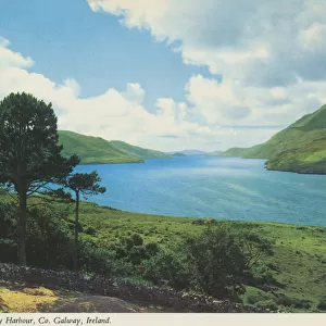 Killary Harbour, County Galway by D. Noble