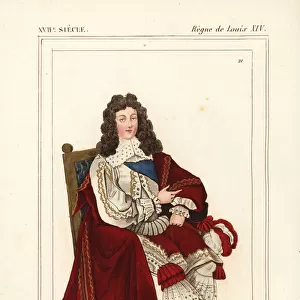 King Louis XIV, Roi de France et de Navarre