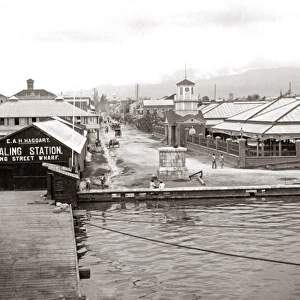 Kingstown from the harbour, Jamaica, West Indies, circa 1900