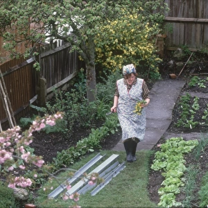 Kitchen Garden 1940S