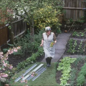 Kitchen Garden 1940S