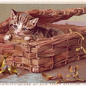 Kitten in a basket on a New Year card