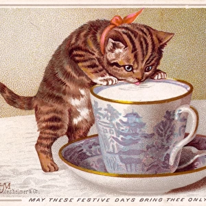 Kitten with cup of milk on a Christmas card