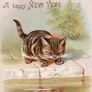 Kitten on a New Year card