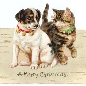 Kitten and puppy on a cutout Christmas card Kitten and puppy on a cutout Christmas card