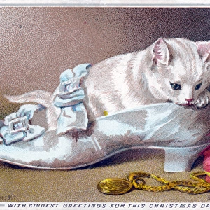 Kitten in a shoe on a Christmas card