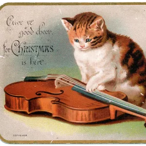 Kitten with a violin on a Christmas card