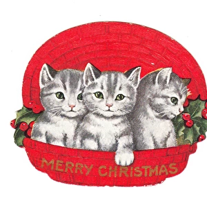 Three kittens in a basket on a cutout Christmas card