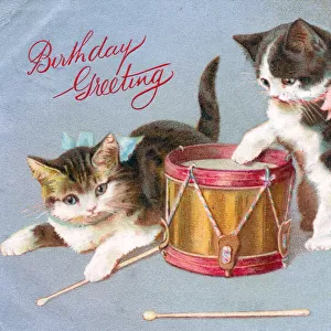 Kittens with a drum on a birthday postcard