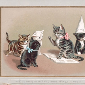 Five kittens on a greetings card