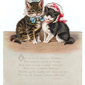 Two kittens, Jack and Nell, on a cutout Christmas card